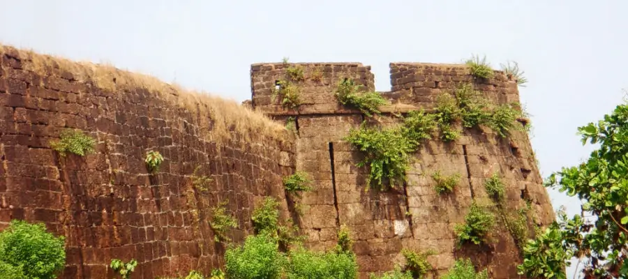 Cabo De Rama Fort: A stone wall with a tower stands tall, while a lush tree grows from its surface, showcasing nature's resilience.