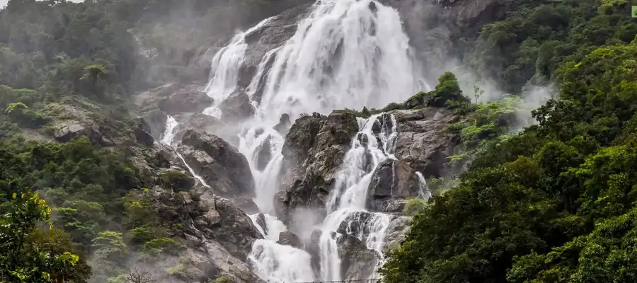 Dudhsagar Falls:  A majestic waterfall cascades down, framed by lush green trees on either side, creating a serene natural landscape.